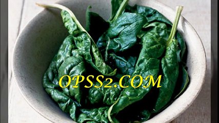 SPINACH 인천오피 OPSS2.COM 인천건마 오피쓰