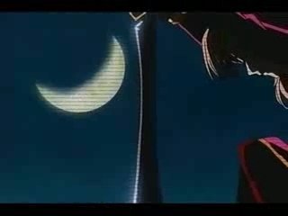 (AMV)-black cat -broken (22 final)