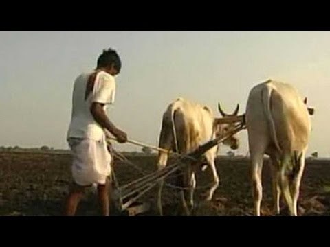 Farmers commit suicide due to love problems, impotency : Radha Mohan Singh