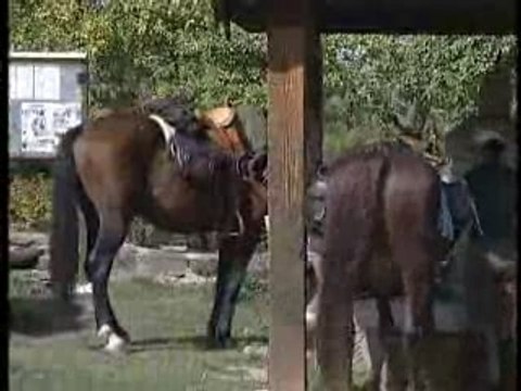 Haute-Provence (2/2) : les cavaliers du massif des Monges