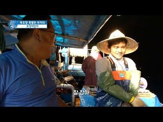 묵호항 특별한 부자의 오징어잡이! [그들이 사는 세상] 4회 20160731
