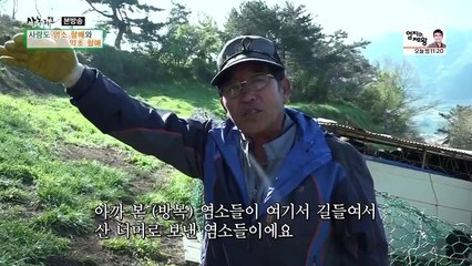 [MBN] 휴먼다큐 사노라면.E273.170502.사량도 염소 할배와 약초 할매