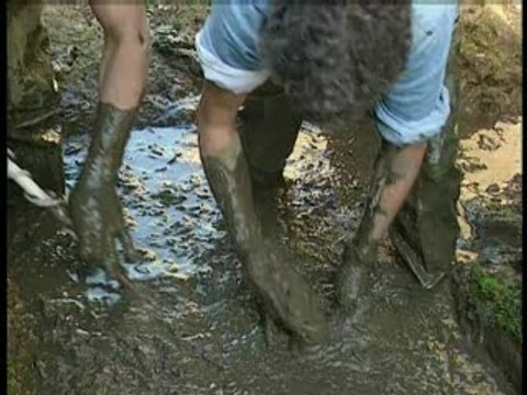 Les chasseurs de trésors