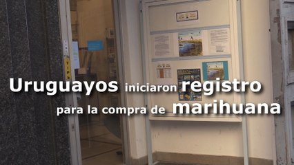 Uruguayos iniciaron registro para la compra de marihuana