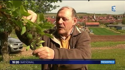 Présidentielle : Balbronn et Traenheim, deux villages pour deux votes