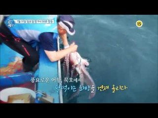인생은 항구다! 동해시 묵호항_그들이 사는 세상 4회 예고
