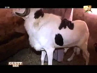 Guett Gui - 20 Mai 2012 - Partie 3