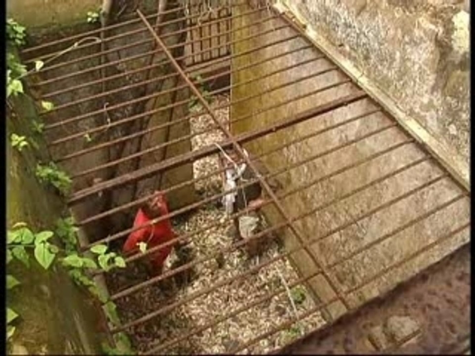 Guyane, eaux douces et l'amer
