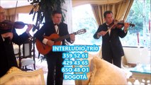 VIOLINISTAS BOGOTA 65O 48 O1 DUO,TRIO,MUSICA DE CUERDA SERENATAS CON SAXOFON