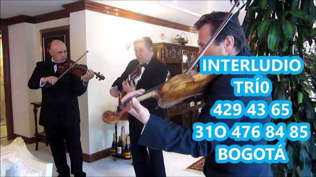 VIOLINISTAS BOGOTA 359 52 61 CANON EN RE MAYOR TRIOS SERENATAS MISAS SAXOFONISTA DO DE VIOLINES