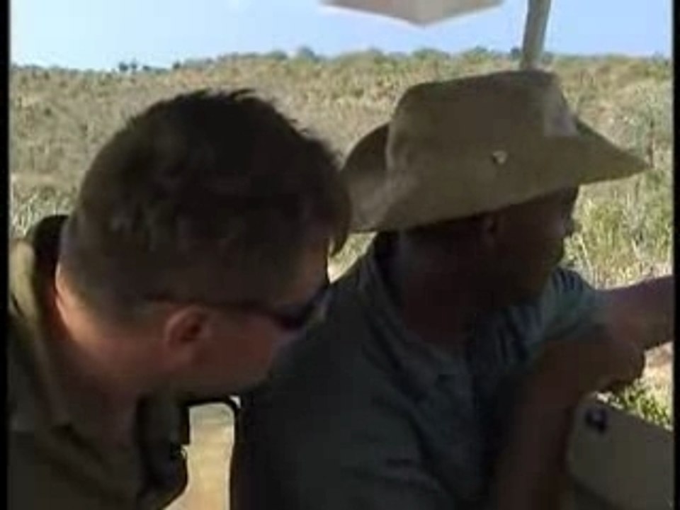 Safari au Kenya
