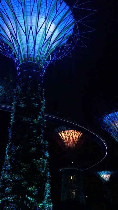spectacle Garden Rhapsody (2/4) au Gardens by the Bay (Singapour), le 11 juin 2016