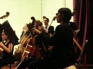 OSNJ(Chile) - Symph.1(Titan)- 1st mov(part1) G. Mahler