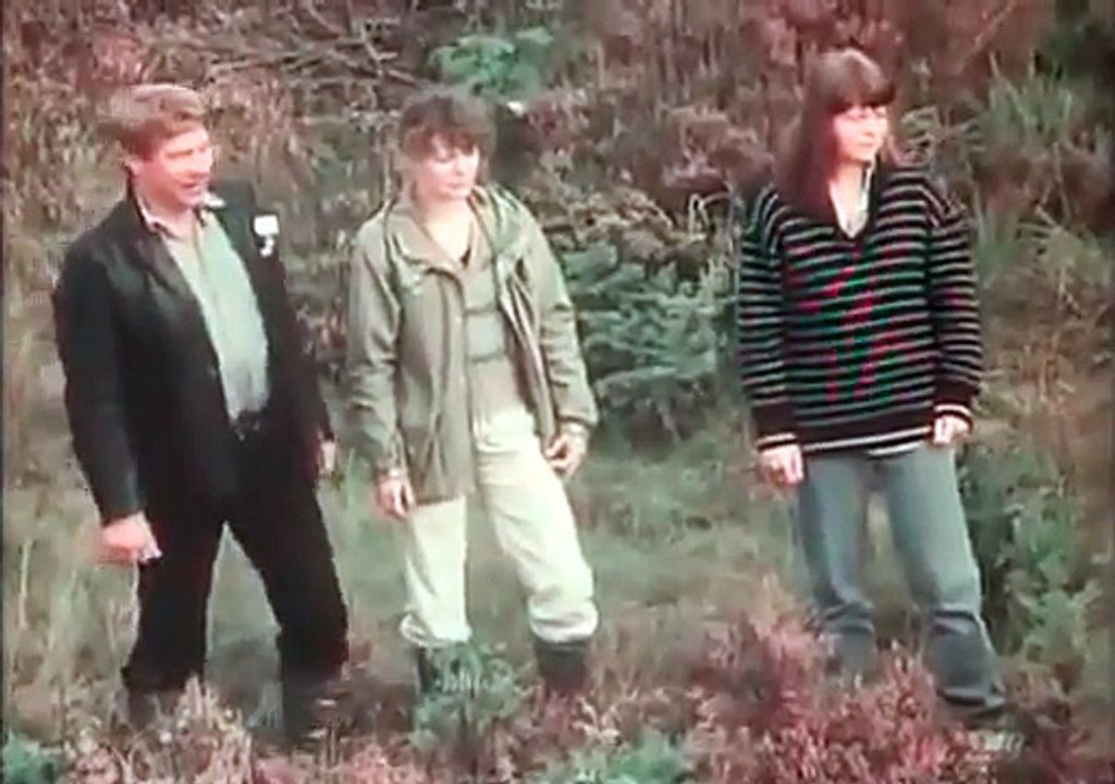 Trollsommar  (1980) Svensk part 2/2
