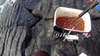 201702【伊豆の地磯】伊東市『大灘』編　後編　冬の釣りを堪能！