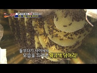 돌무더기 안에서 황금을 찾는 법! [뉴 코리아 헌터] 8회 20160727
