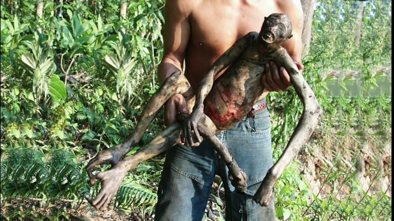 5 Mysterious Creatures Caught On Camera