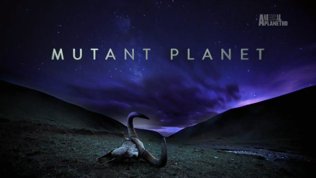 Планета Мутантов Коста-Рика