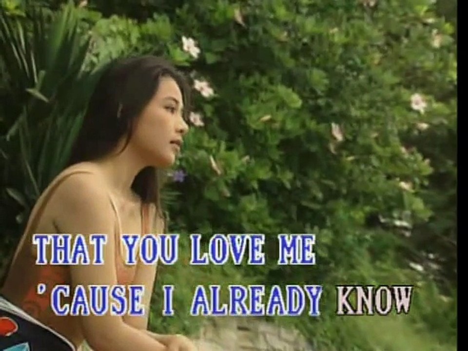 More Than Words - Video Karaoke (Famous-DVD)