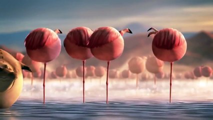 Natural habitat in Africa is very funny animation
