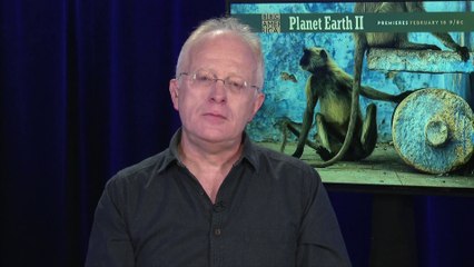 IR Interview: Michael Gunton (Exec Producer) For "Planet Earth II" [BBC America]