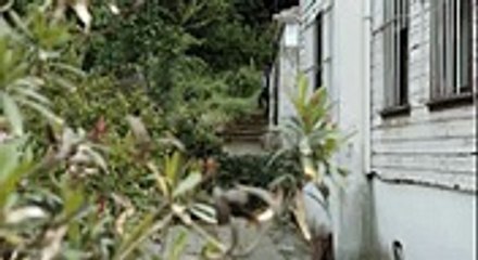 Karadayi 111 En Espanol 03_05_2016  ver series de televisión