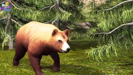 Finger Family Bear Family Rhymes _ Animals Cartoon Finger Family Rhymes for Children-e0