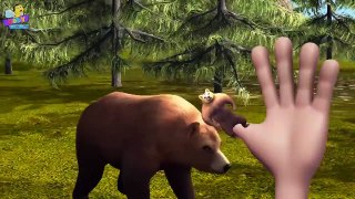 Finger Family Bear Family Rhymes _ Animal