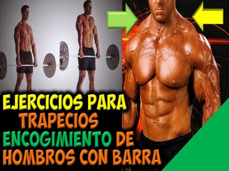 Ejercicios Para Musculos del Trapecio Encogimiento de Hombros con Barra Ganar Masa Muscular