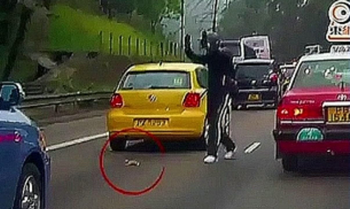 Pria Ini Selamatkan Kucing di Tengah Jalan
