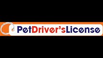 Design a Dog Driver’s License ID Tags