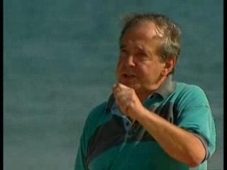 Xéno-greffe : recherche en cours