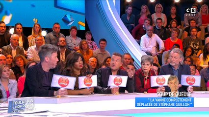 Benjamin Castaldi en colère contre Stéphane Guillon dans TPMP : "Je ne l'aime pas" - Regardez