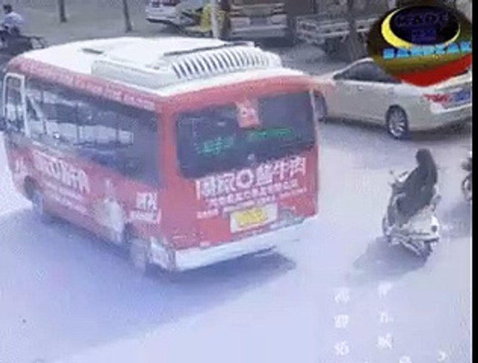 49969323