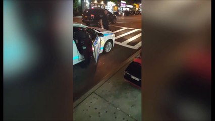 Quand la police arrete des jeunes jumeaux au volant de leur petite voiture