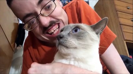 Ce taré nettoie son chat à coup de langue et le matou n'aime pas trop ça