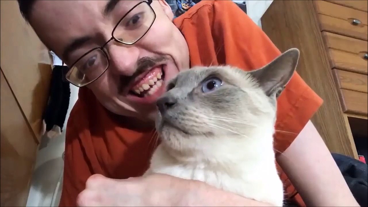 Ce taré nettoie son chat à coup de langue et le matou n'aime pas trop ça