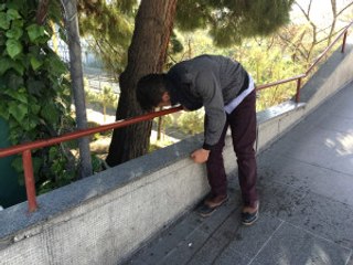 Bonzai Içen Gencin Feryatları Yürek Yaktı