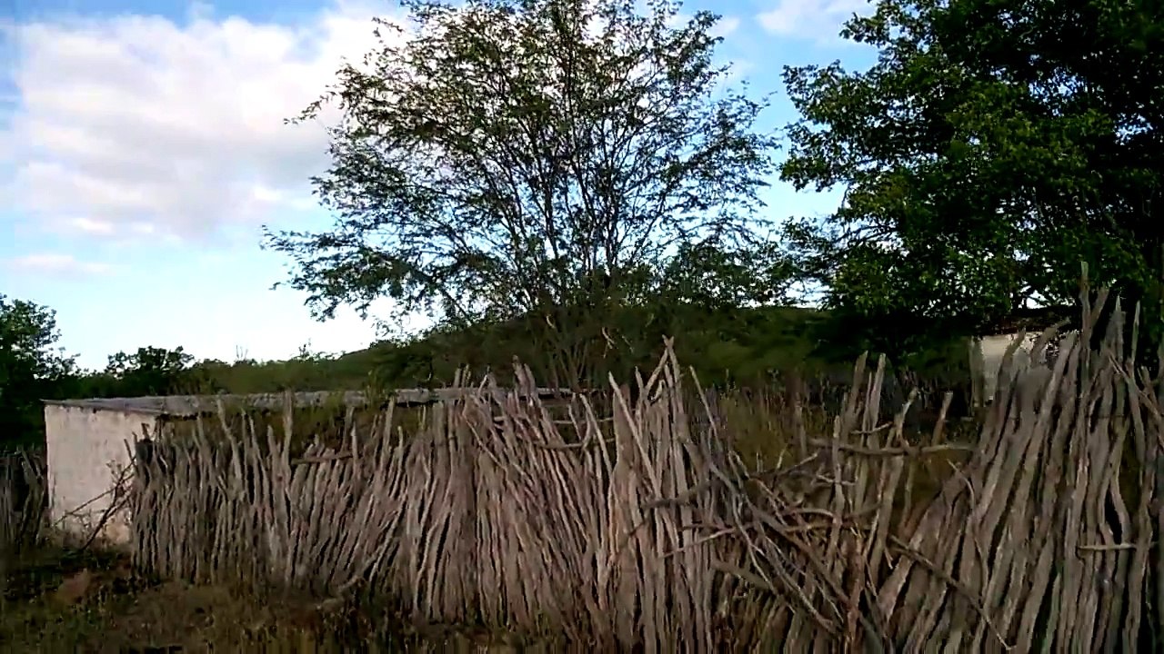 2. Beleza Natural - Sertão