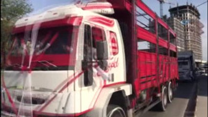 Böyle Olur Kamyoncunun Düğün Konvoyu