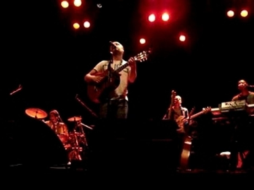 Ours - Le cafard des fanfares