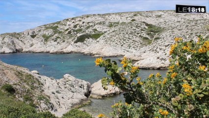 Le 18:18 : une application marseillaise pour (re)découvrir la nature