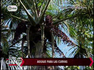 Nota - Aguaje para las curvas