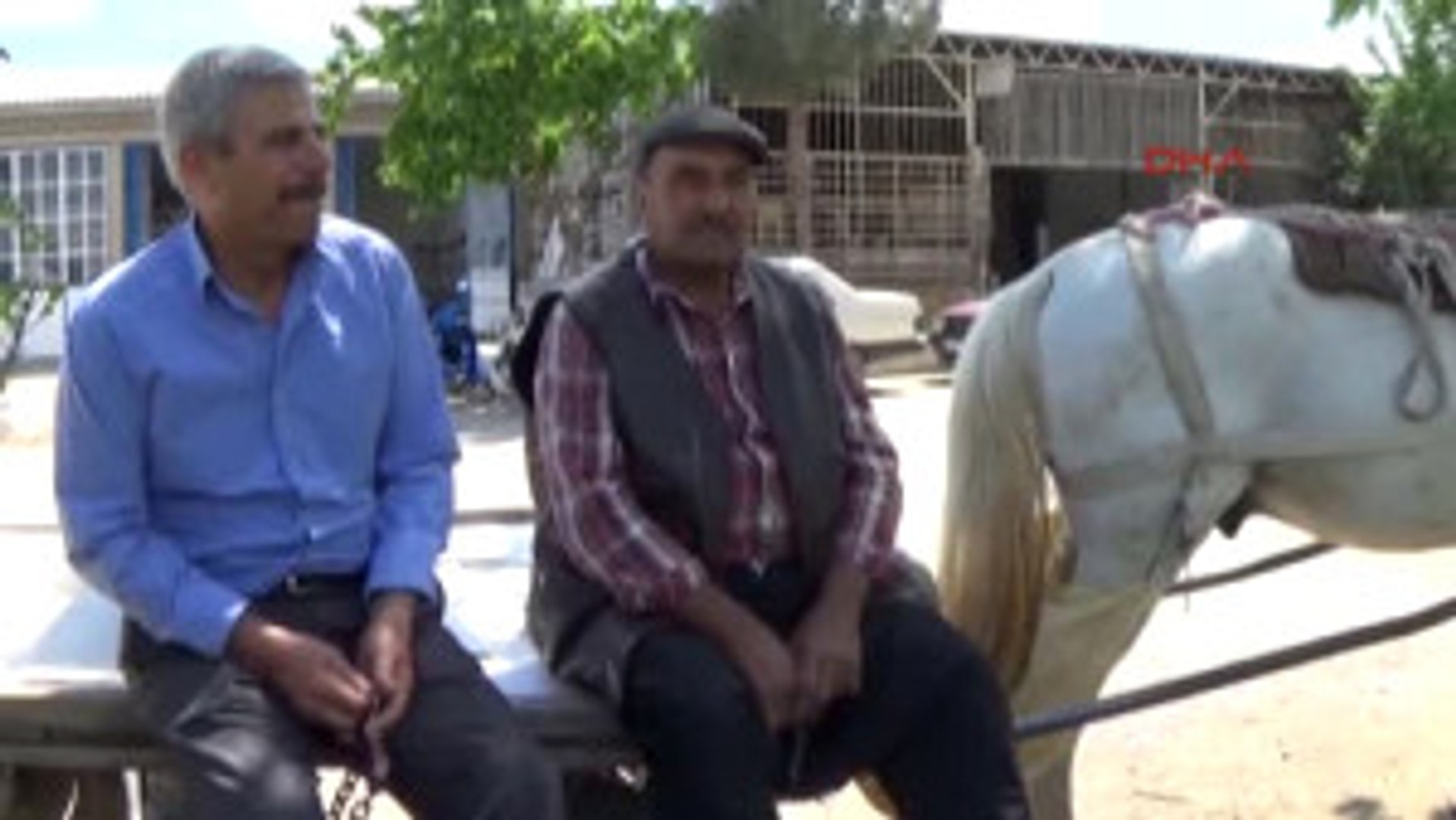 Gaziantep Islahiye'de At Arabaları Zamana Direniyor - Dailymotion Video