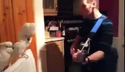 Le rythme dans les plumes...