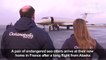 Endred sea otters fly into France