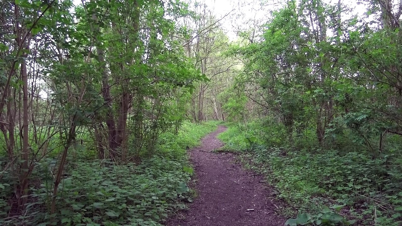Deel 1: Een Kerkhof uit de 80 jarige oorlog! Je weet niet wat je gaat zien !