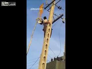 LiveLeak.com - Man Electrocuted While Trying to Save a Stork