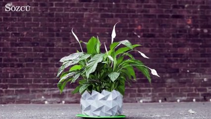 Çiçekle beraber büyüyen muhteşem origami saksılar