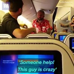 They fight in the middle of the airplane and terrify the other passengers!